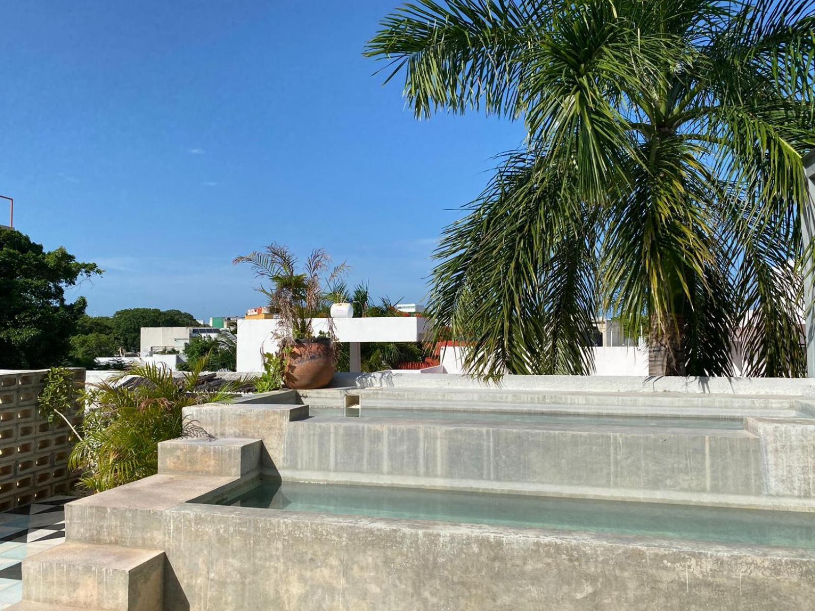 Studios Downtown Cancun Bagian luar foto